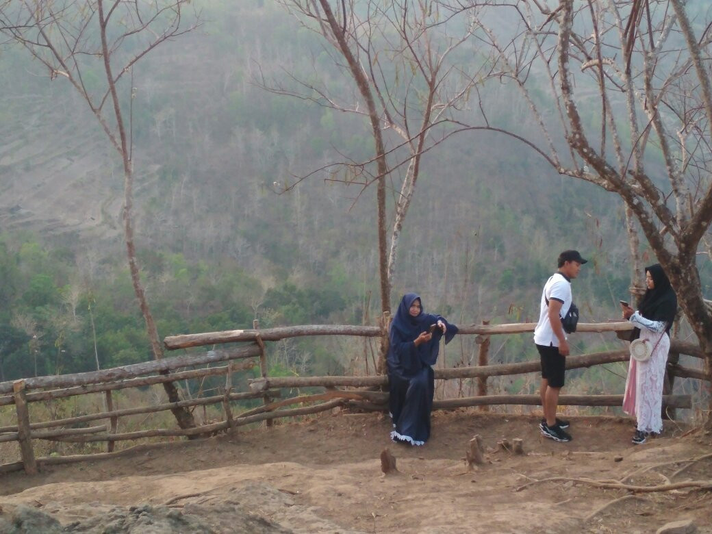 Fruit Garden Mangunan Yogyakarta景点图片