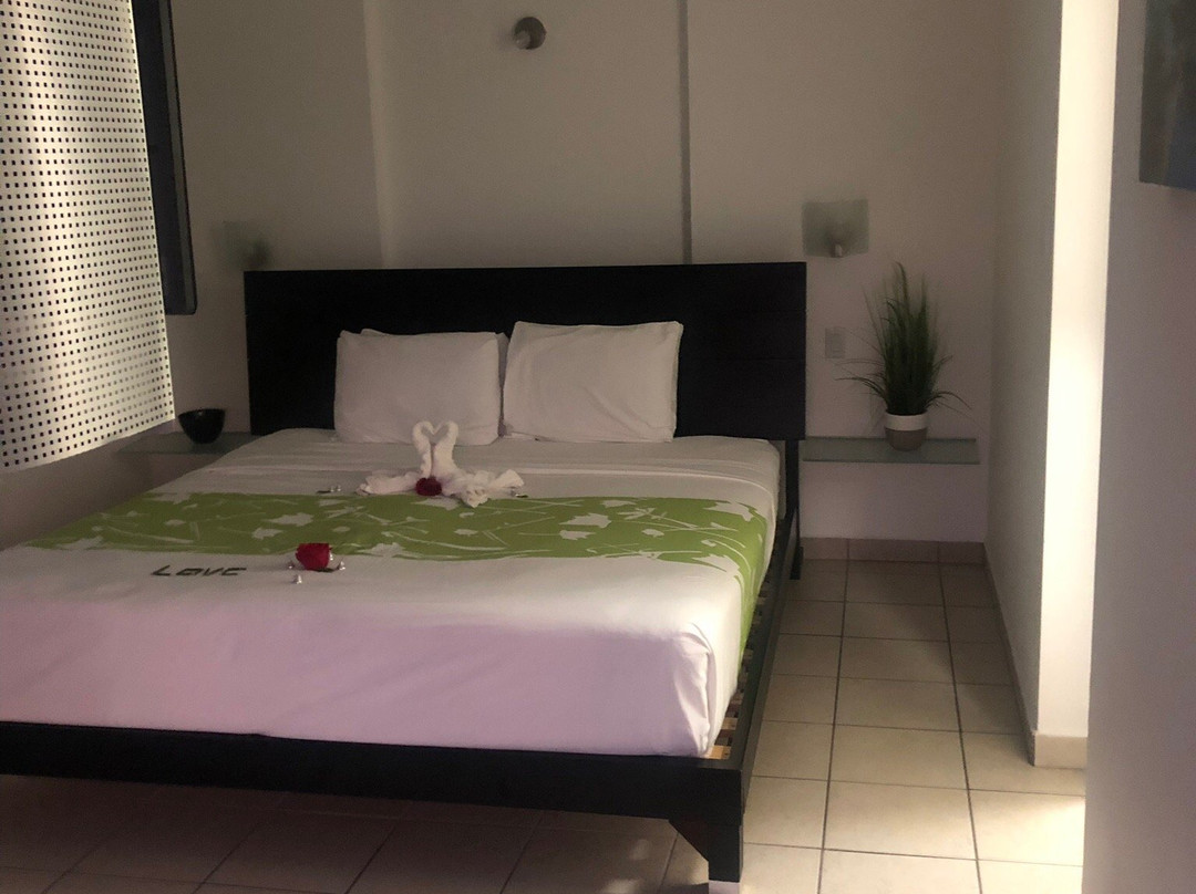 Casa Verde Hotel主图