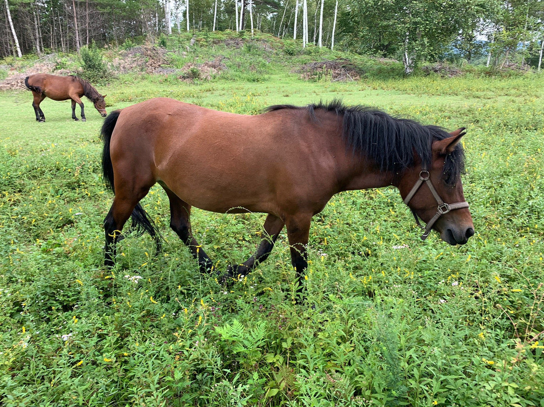 Kisomanosato-木曾町必去景点