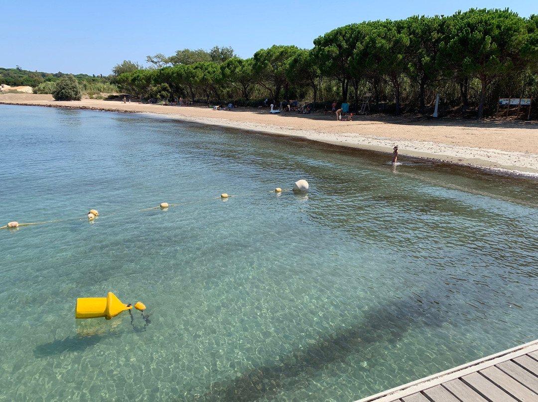 Plage des Canebiers景点图片