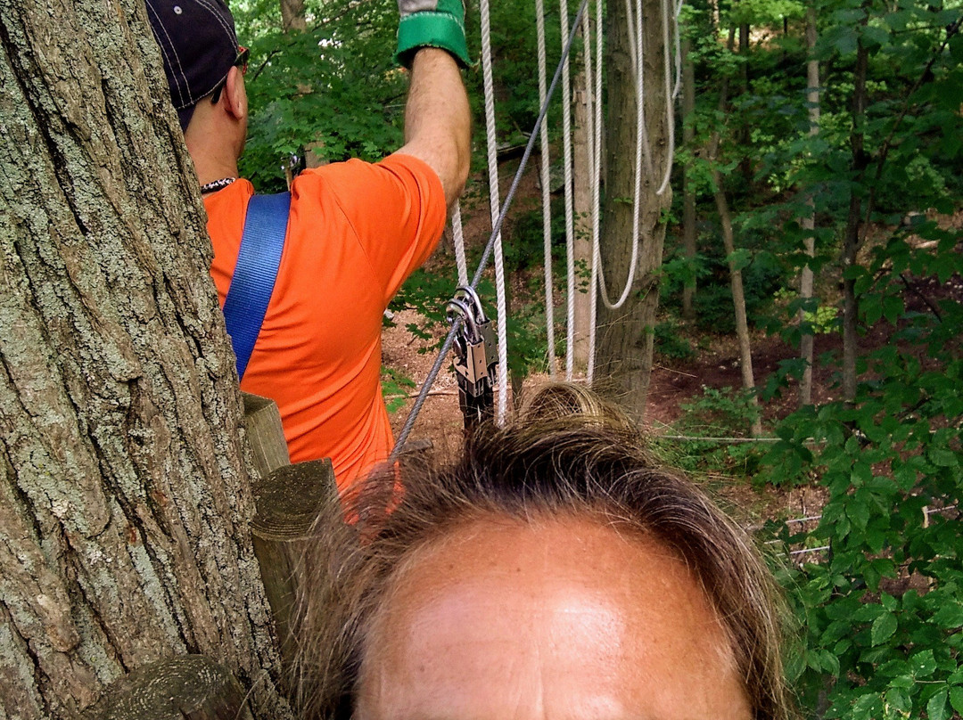 Frankenmuth Aerial Park-弗兰肯默斯必去景点