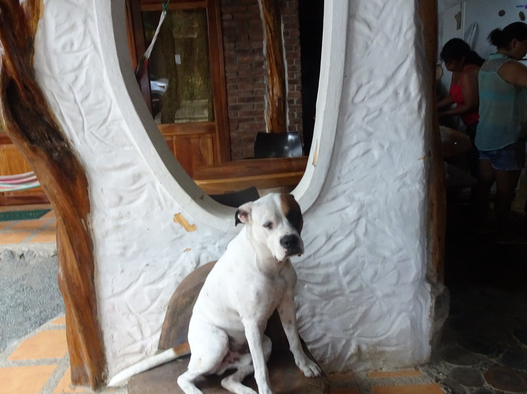 Hostal Rutamar主图