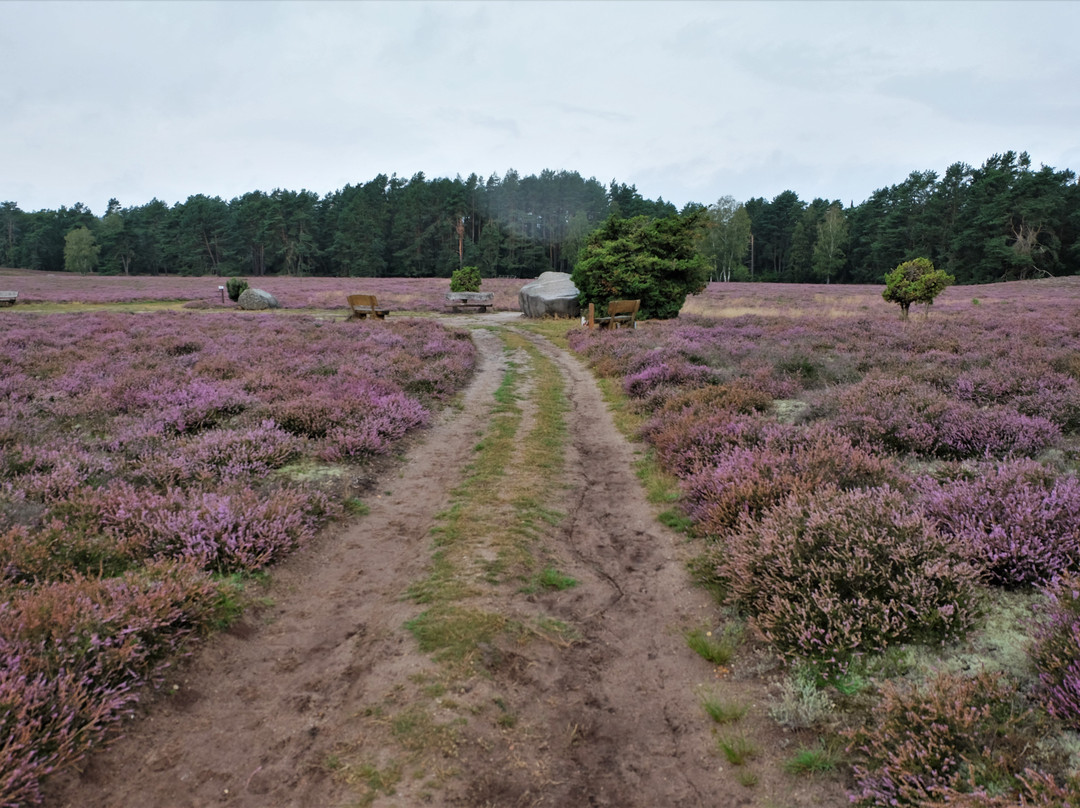 Klein Büenstorfer Heide-巴特贝文森必去景点