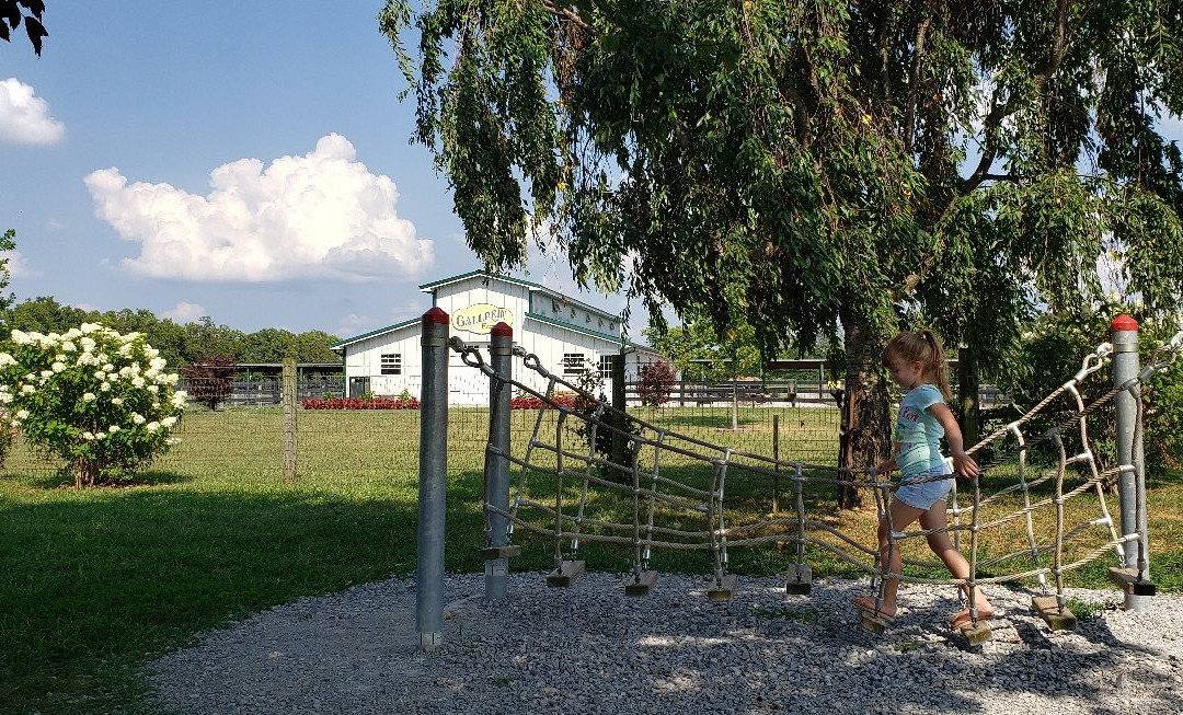 Gallrein Farms-谢尔比维尔必去景点