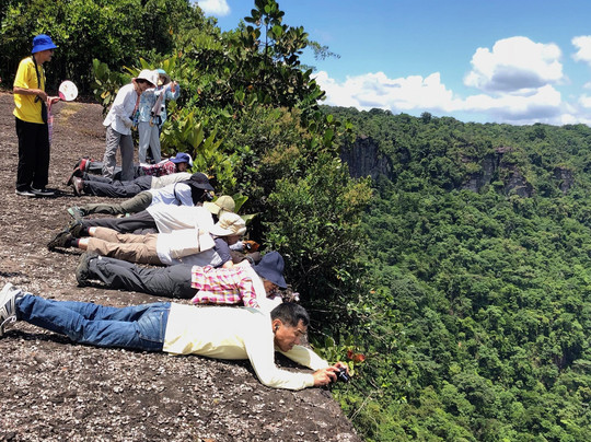 Travel The Guianas-帕拉马里博必去景点