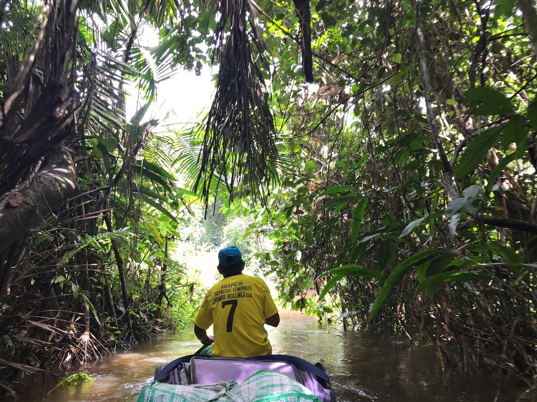 Winston Jungle Tours-Yurimaguas必去景点
