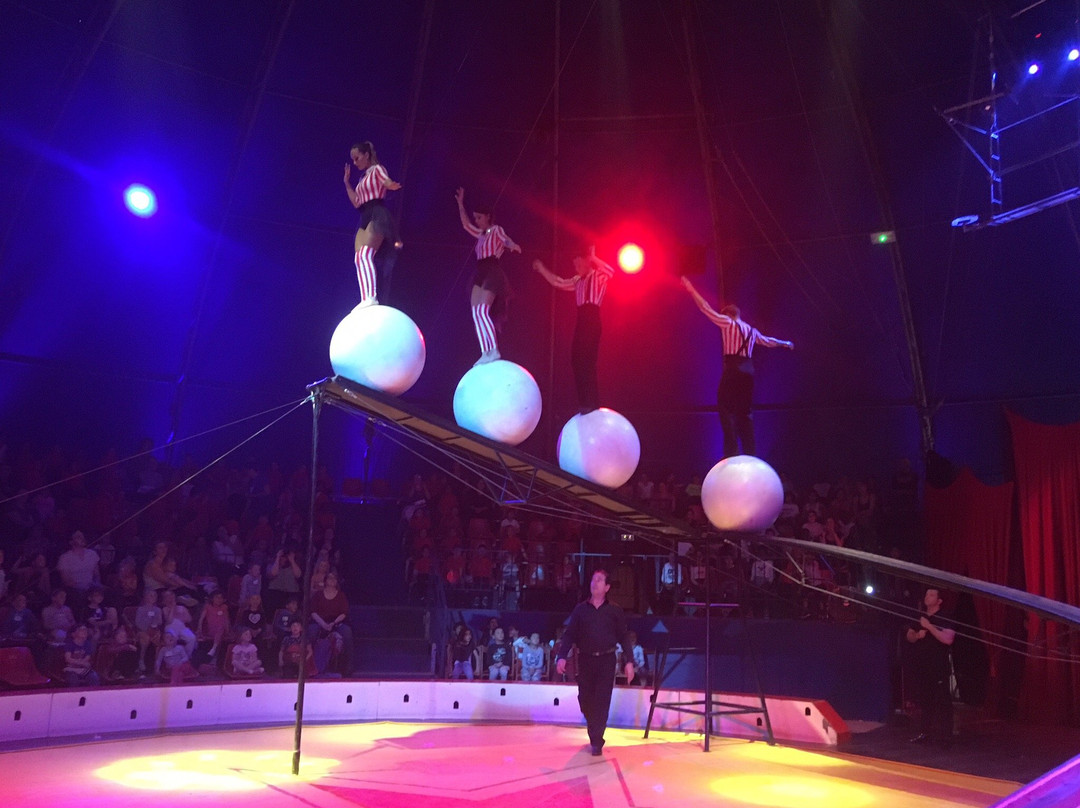 Une Journee au Cirque-Villeneuve-la-Garenne必去景点
