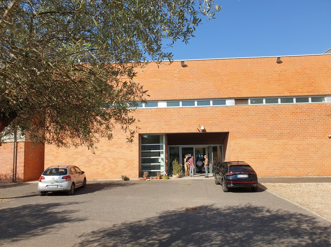 Centro Restauro E Conservazione Beni Culturali