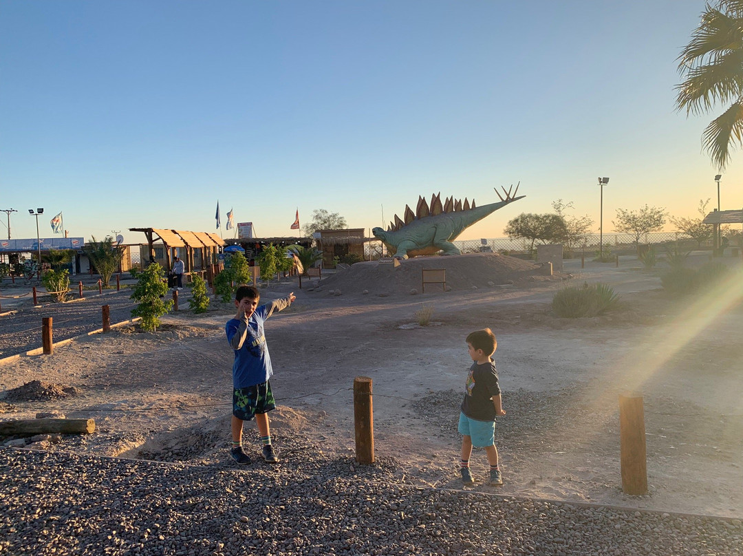 Valle de Los Dinosaurios-Pica必去景点