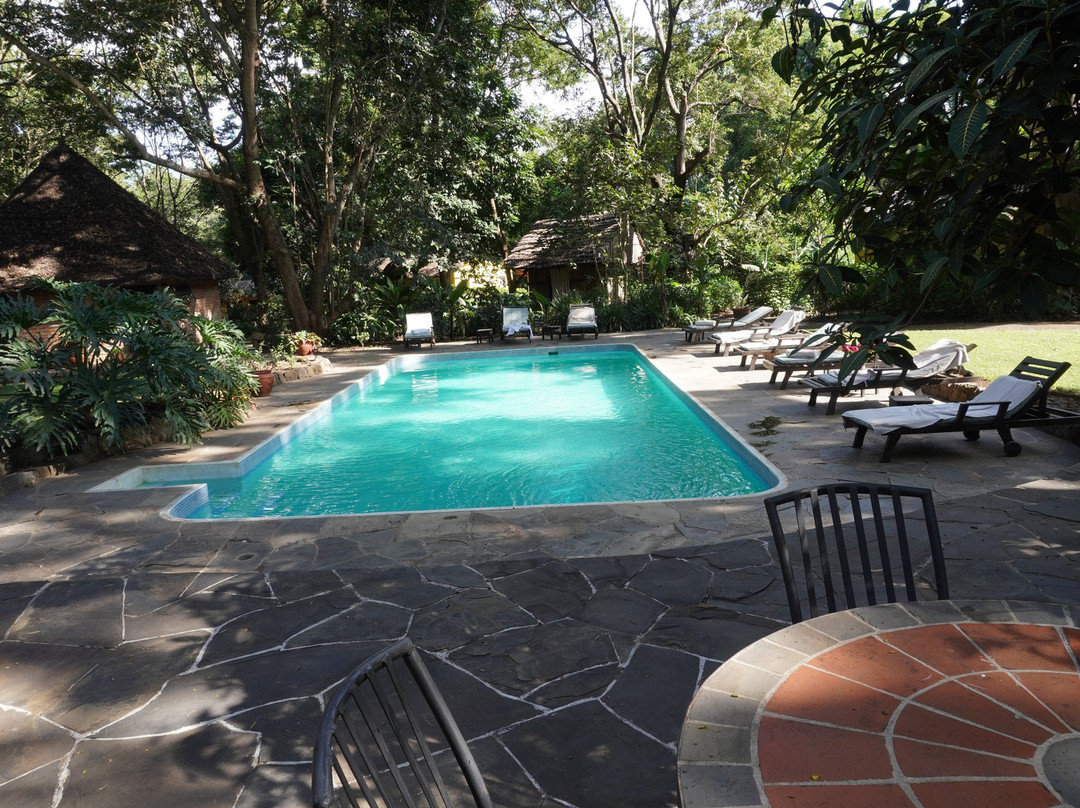 河边树乡村酒店主图