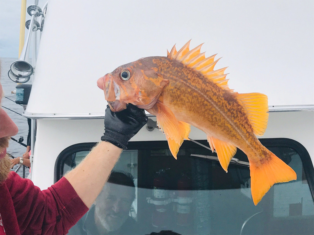 SIGGI-G Ocean Charters-Garibaldi必去景点