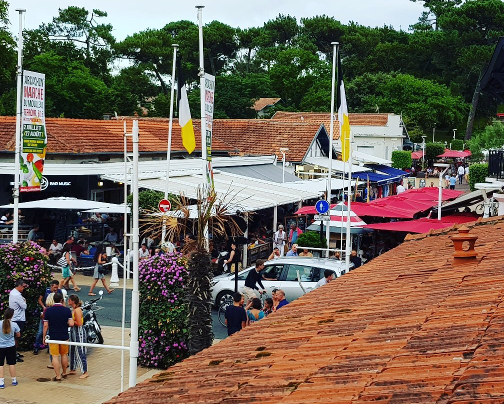 Yatt Hôtel Le Moulleau主图