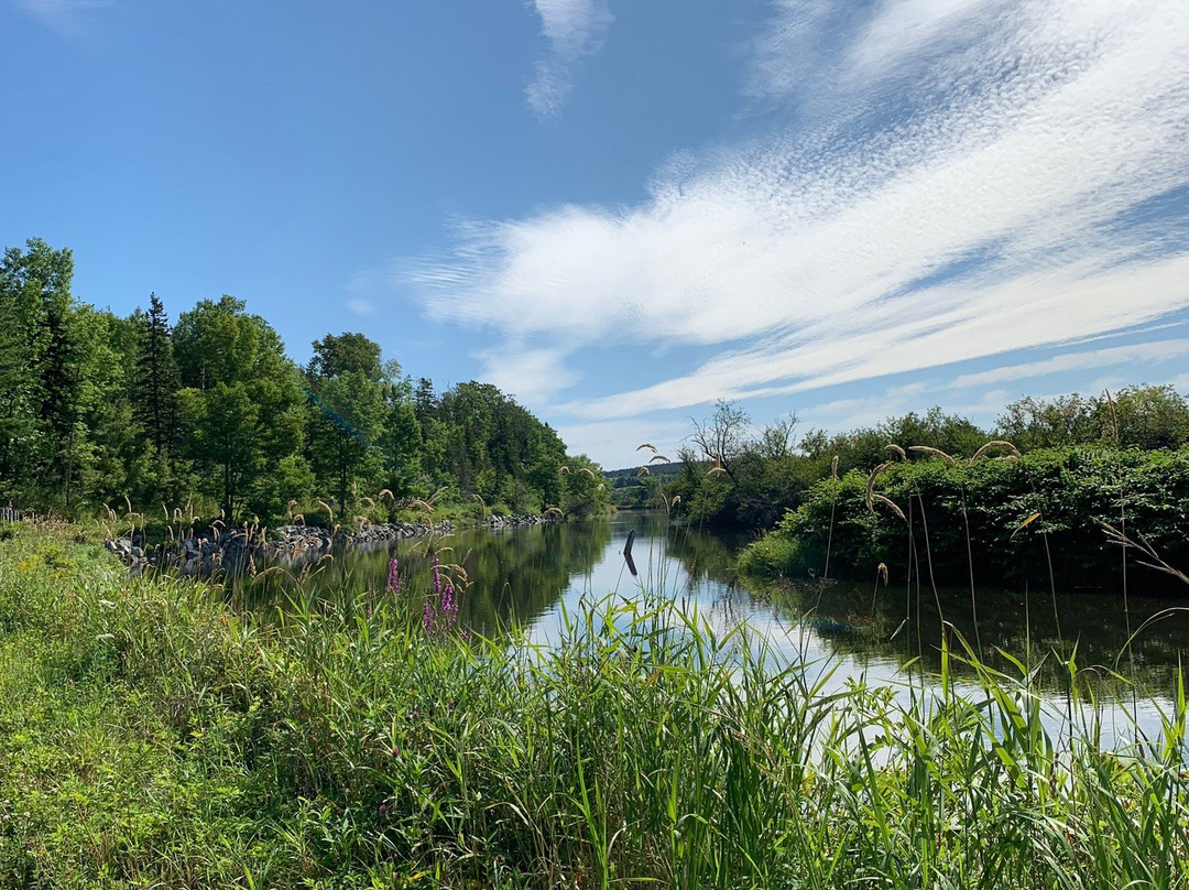 Antigonish Landing Trail-安蒂岗尼希必去景点