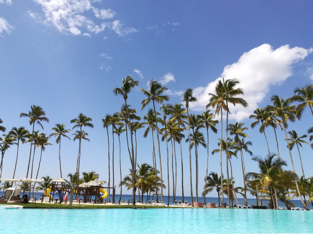 Xeliter Marbella主图