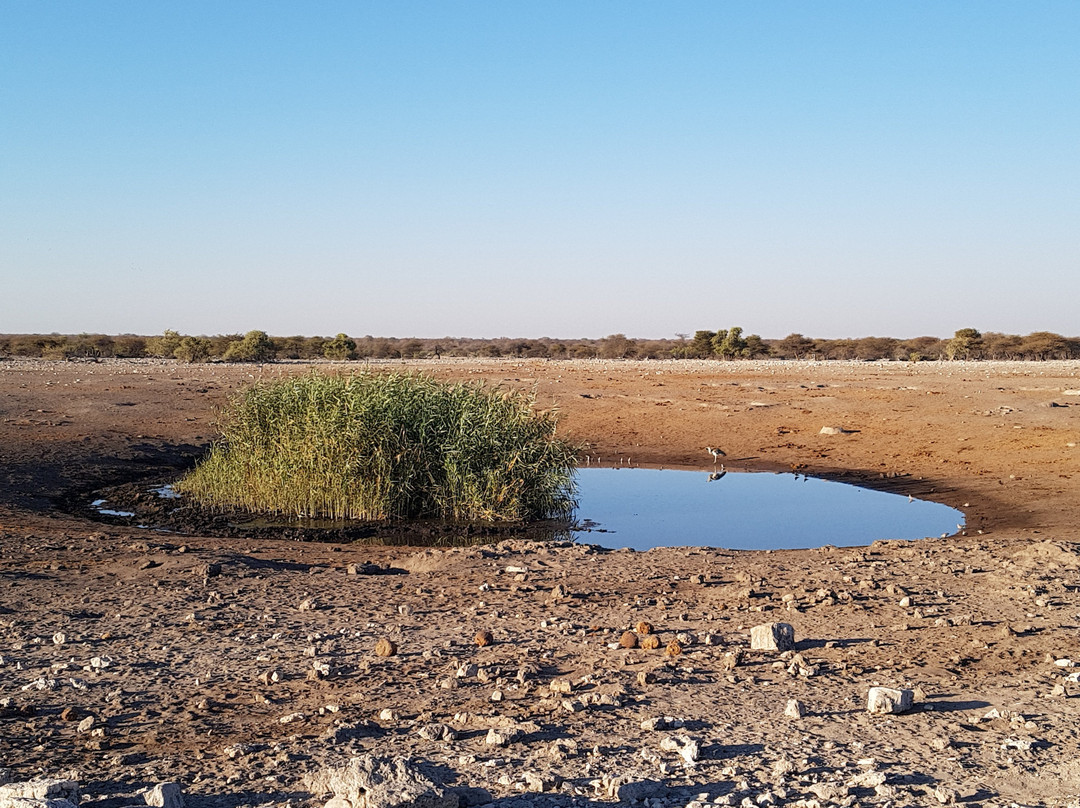 穆沙拉前哨营地主图