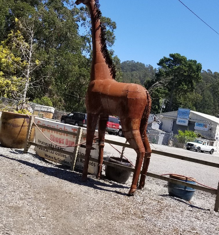 Dinosaurs of Spanish Town景点图片