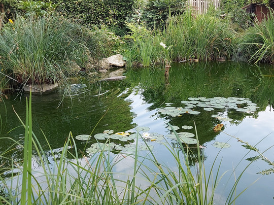 Parco Della Ghiringhella