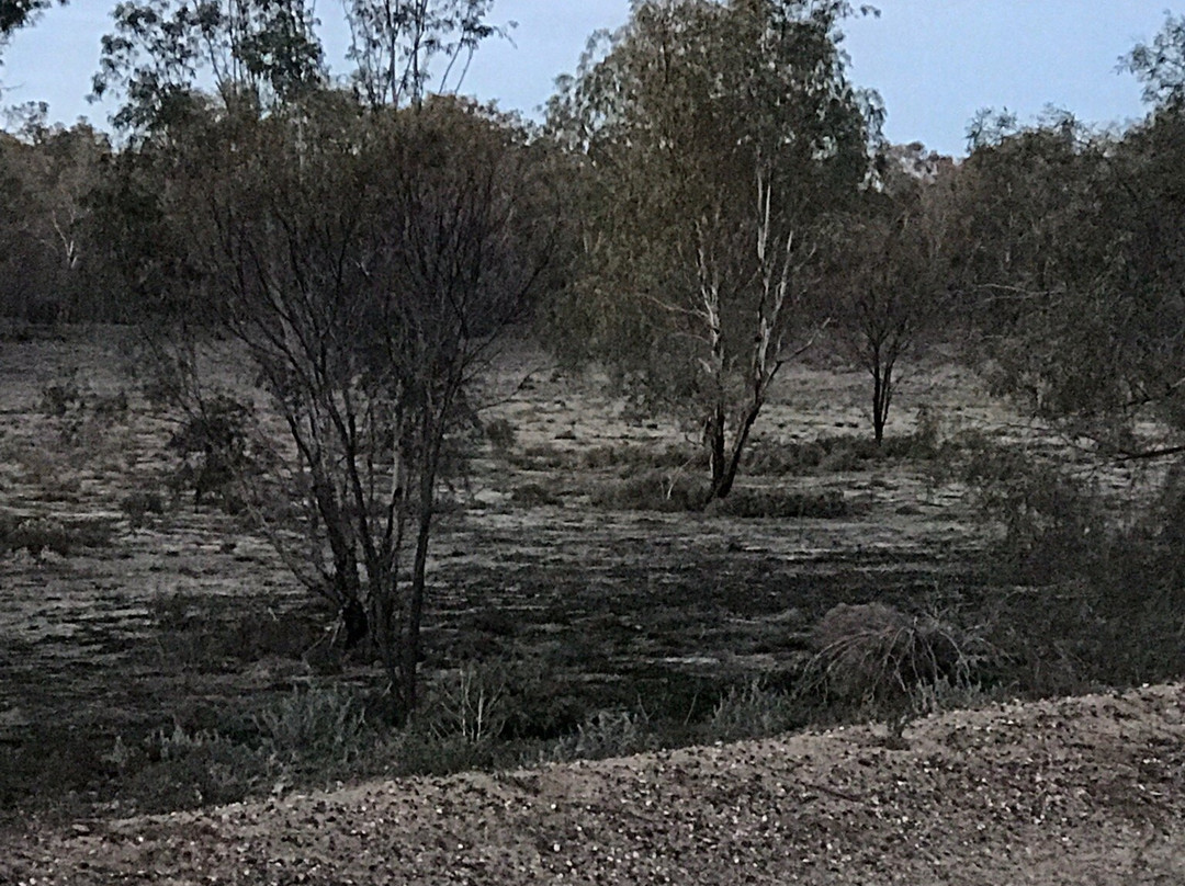 The Barwon Inn主图