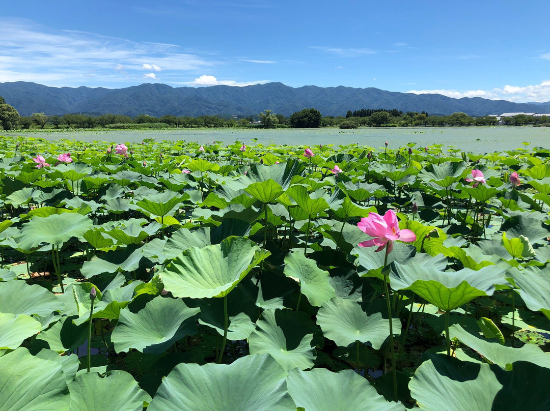 Oishiya Ryokan主图