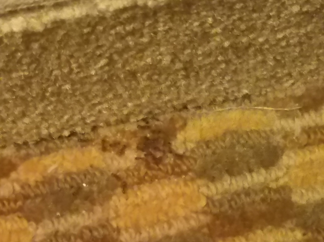 Red Lion Inn & Suites Grimes主图