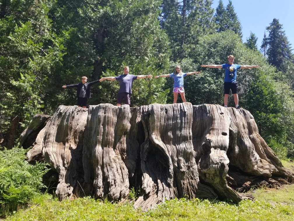 Big Stump Basin-红杉&国王峡谷国家公园必去景点