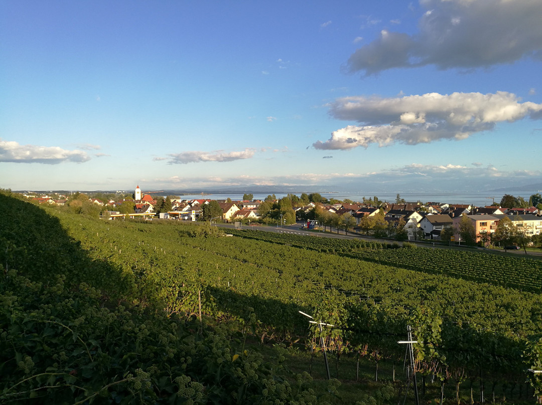 Hagnau旅游攻略图片