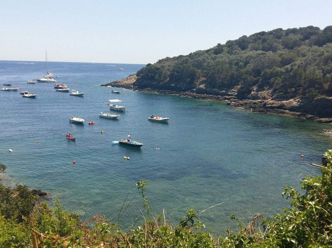 Cala Spalmatoio景点图片
