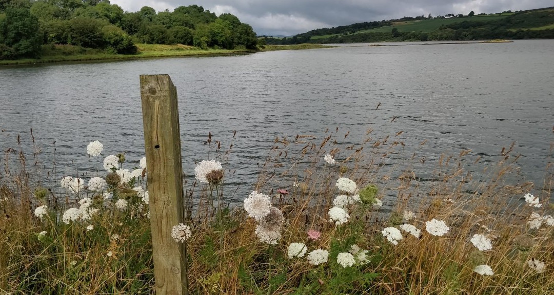Inch Wildfowl Reserve-Burt必去景点