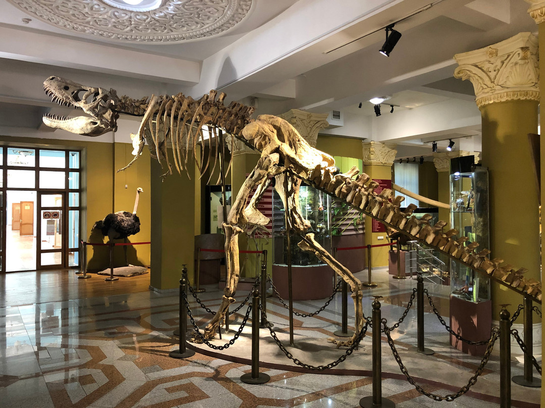 Museum of Archeology of RSE Gylym Ordasy-阿拉木图必去景点