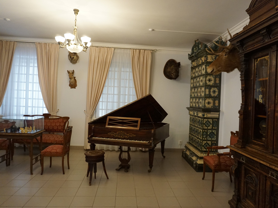Bilibin house (Shamil house)-卡卢加必去景点