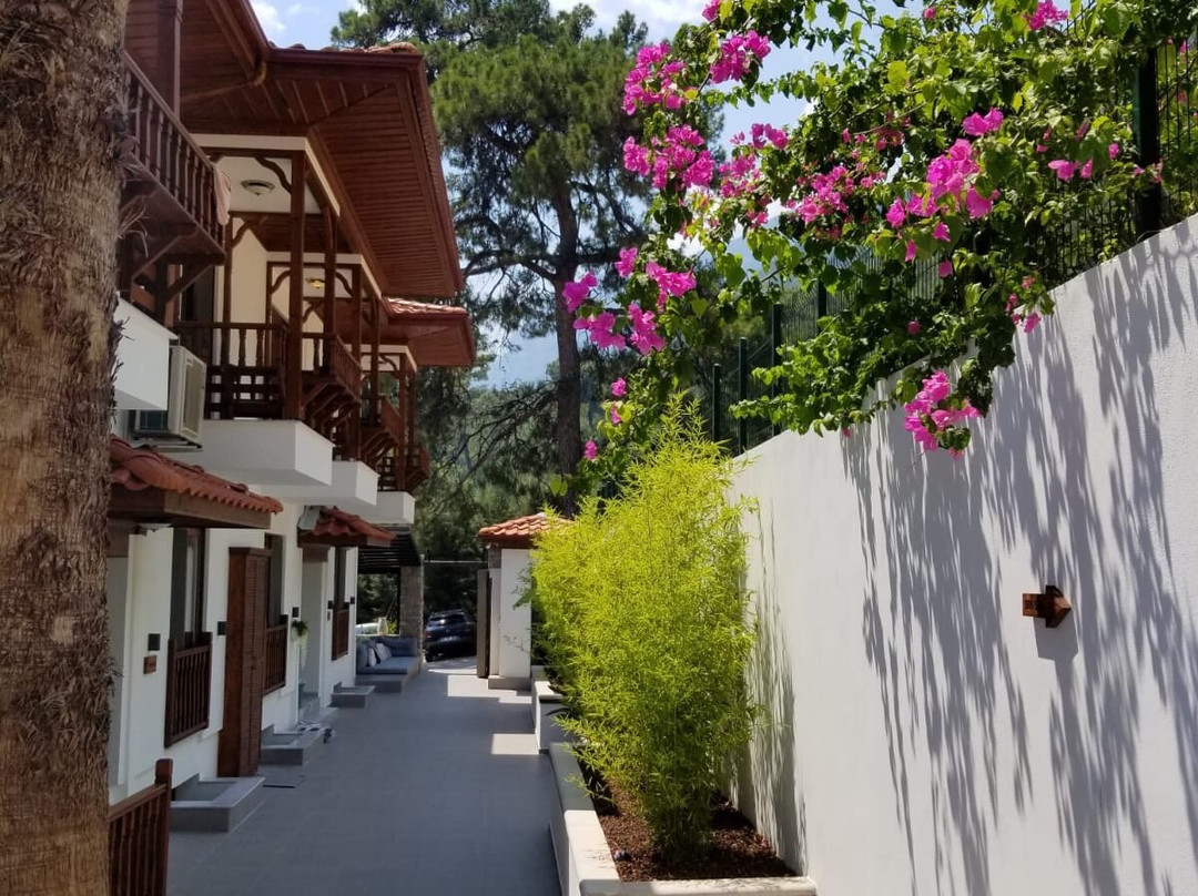 Alp Suites Pinehill主图