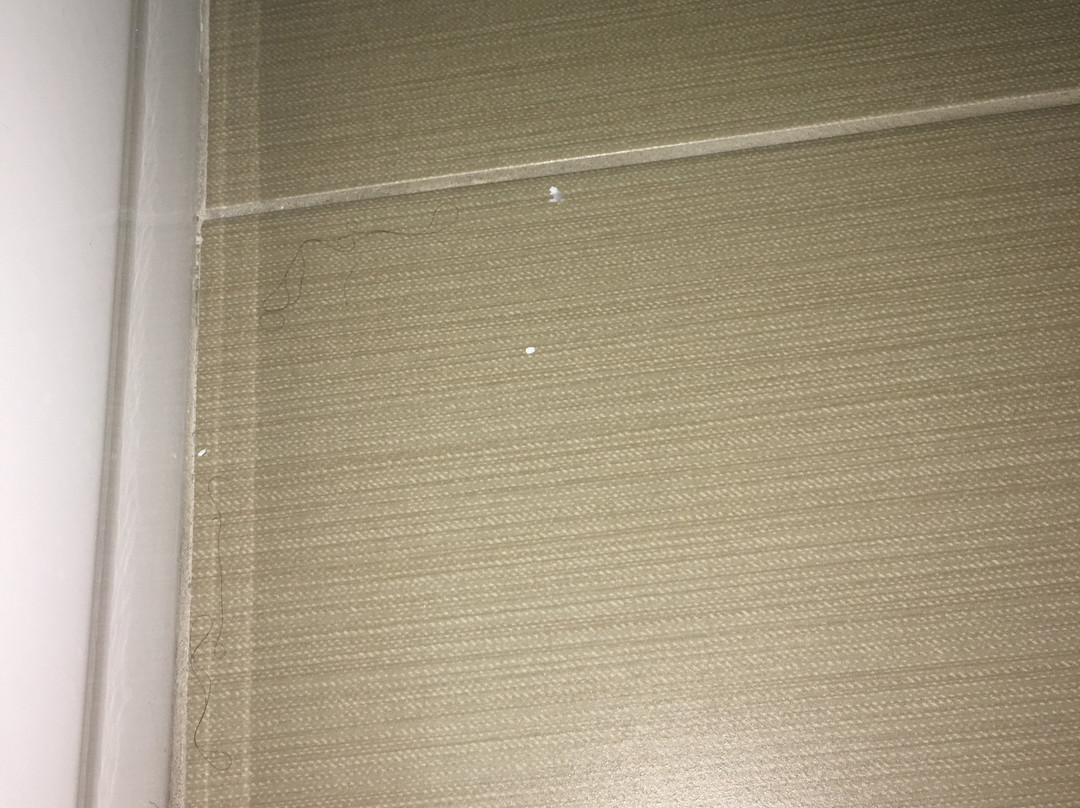 Country Inn & Suites by Radisson, Cedar Rapids Airport, IA主图