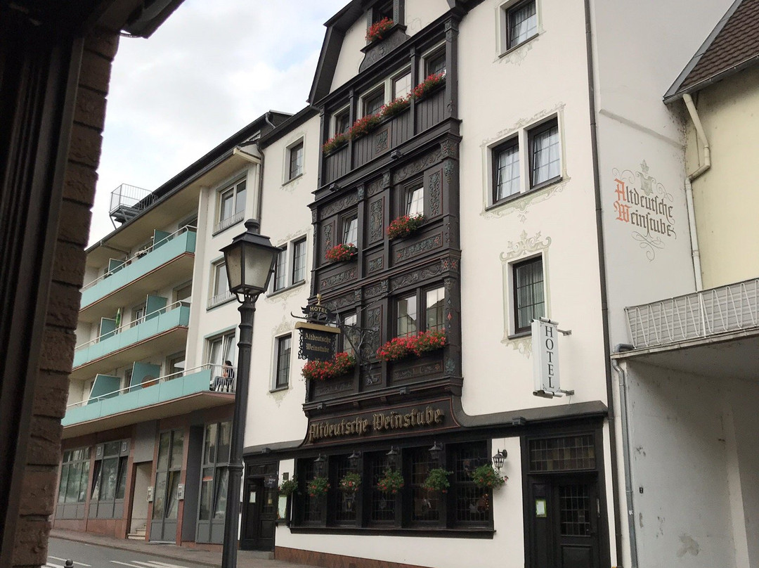 温尼斯图比阿尔特杜特斯彻酒店主图