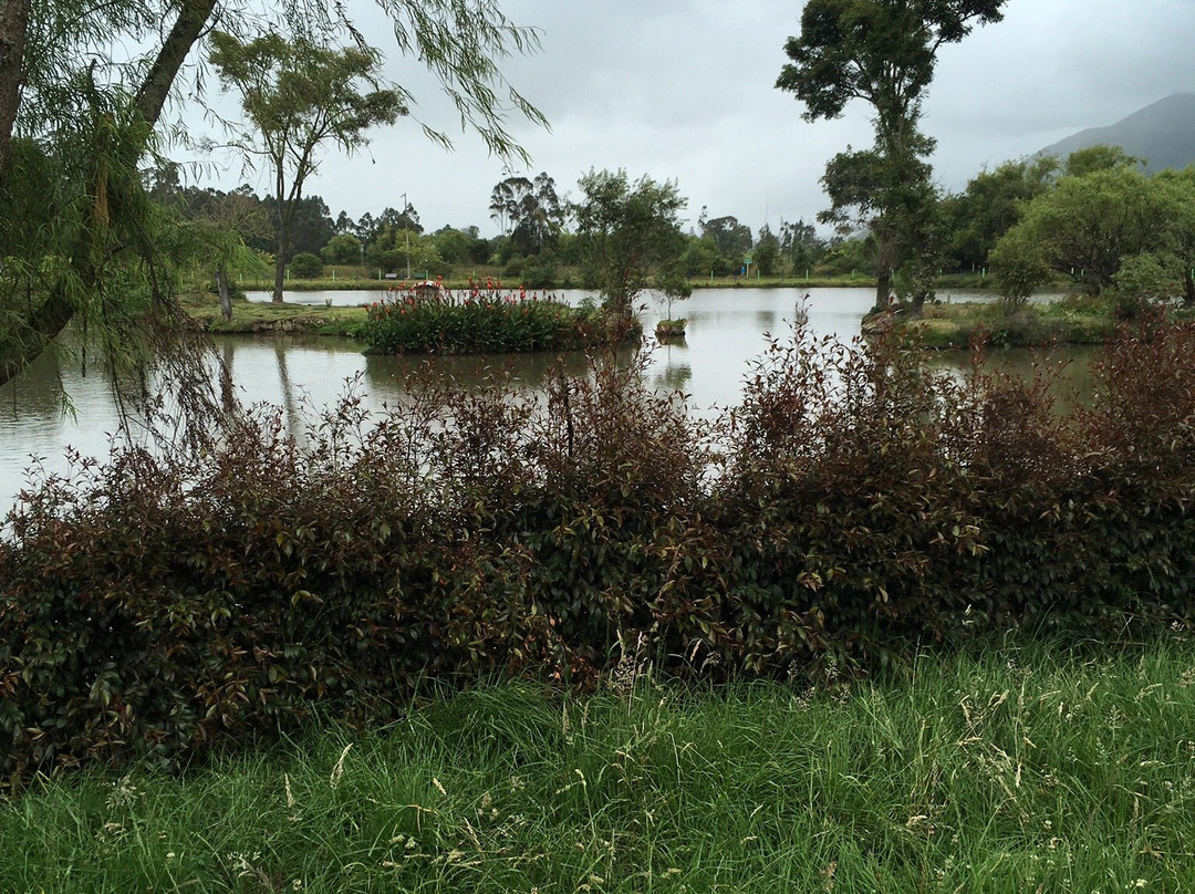 Parque Ecoturistico Puente Sopo景点图片