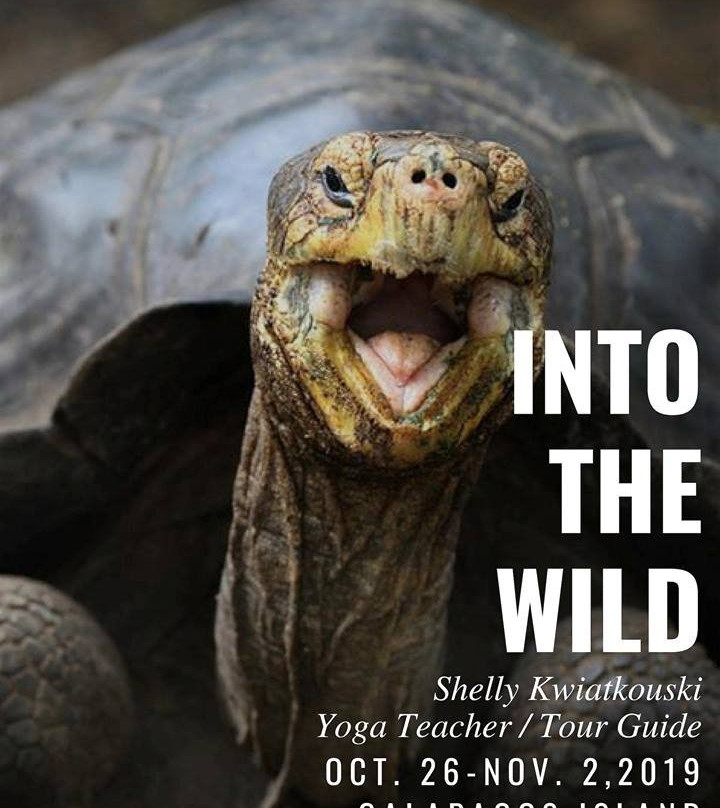 Horizon House Yoga-奥蒙德海滩必去景点