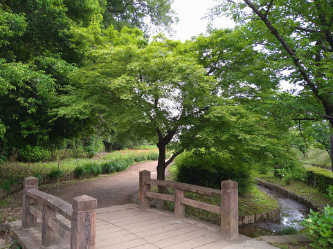 Yamazaki Park (Seseragi Shobuen)