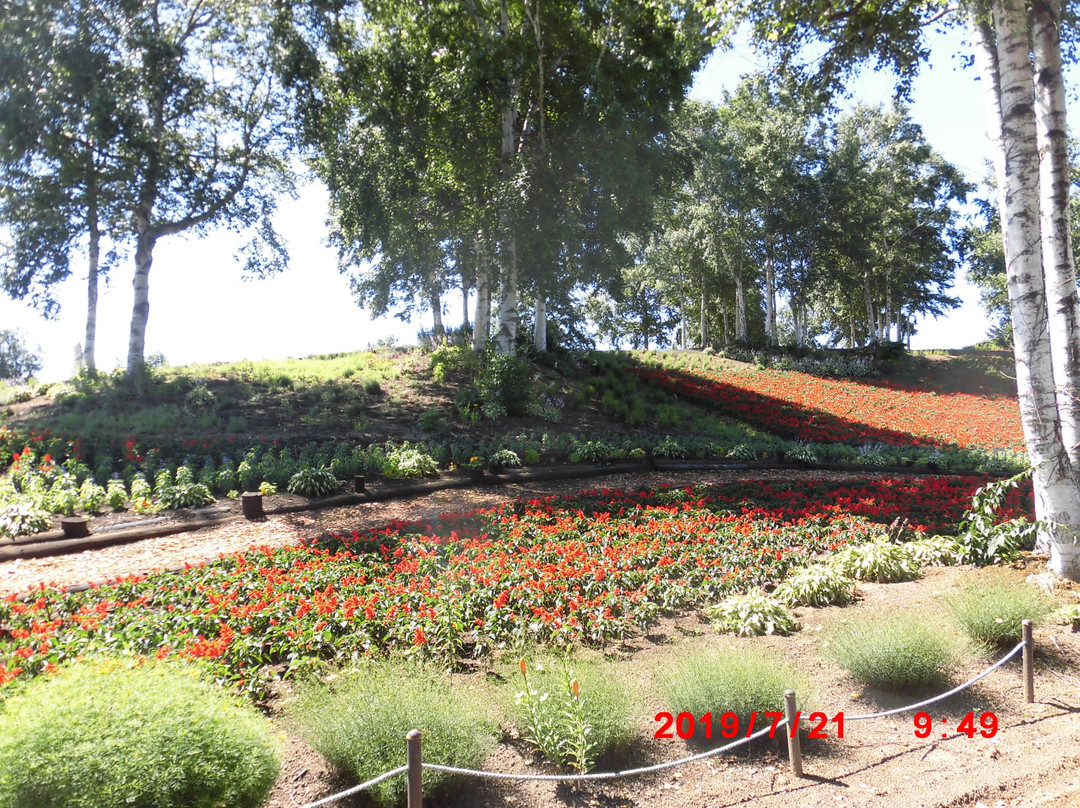 Yuri No Sato Koshimizu Lily Park-小清水町必去景点
