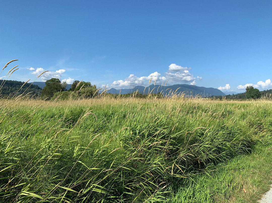 Colony Farm Regional Park-高贵林港必去景点