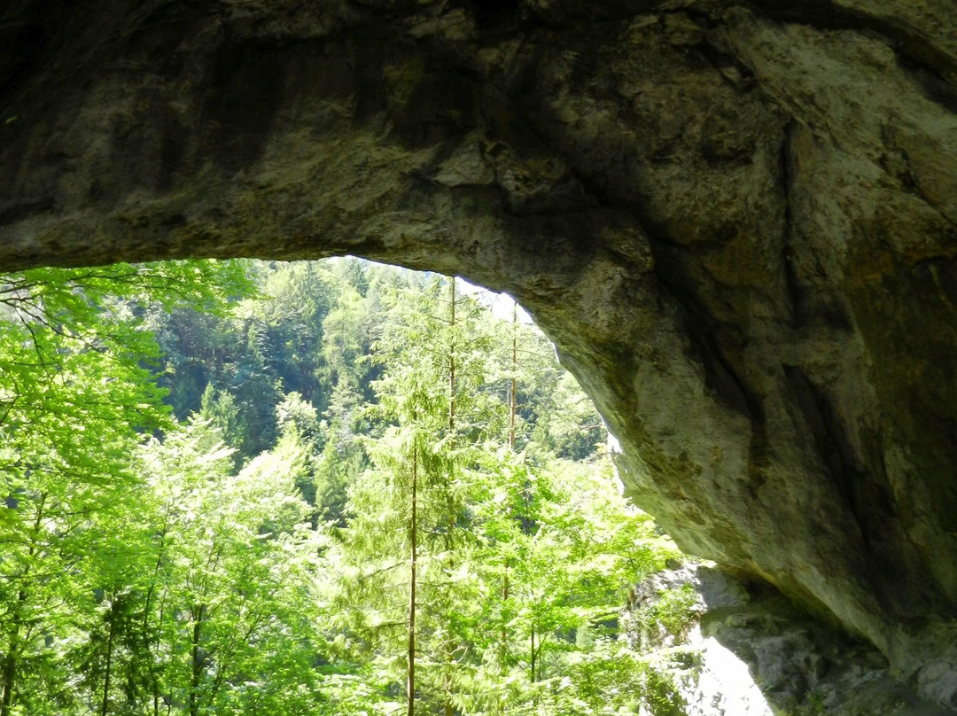 Tischofer Hoehle-库夫石必去景点