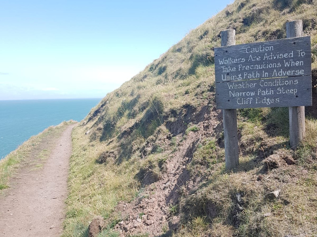 South West Coast Path - Bossington Landscape景点图片