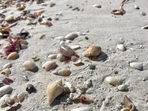 Matlacha Boat Rides and Rentals-Matlacha必去景点