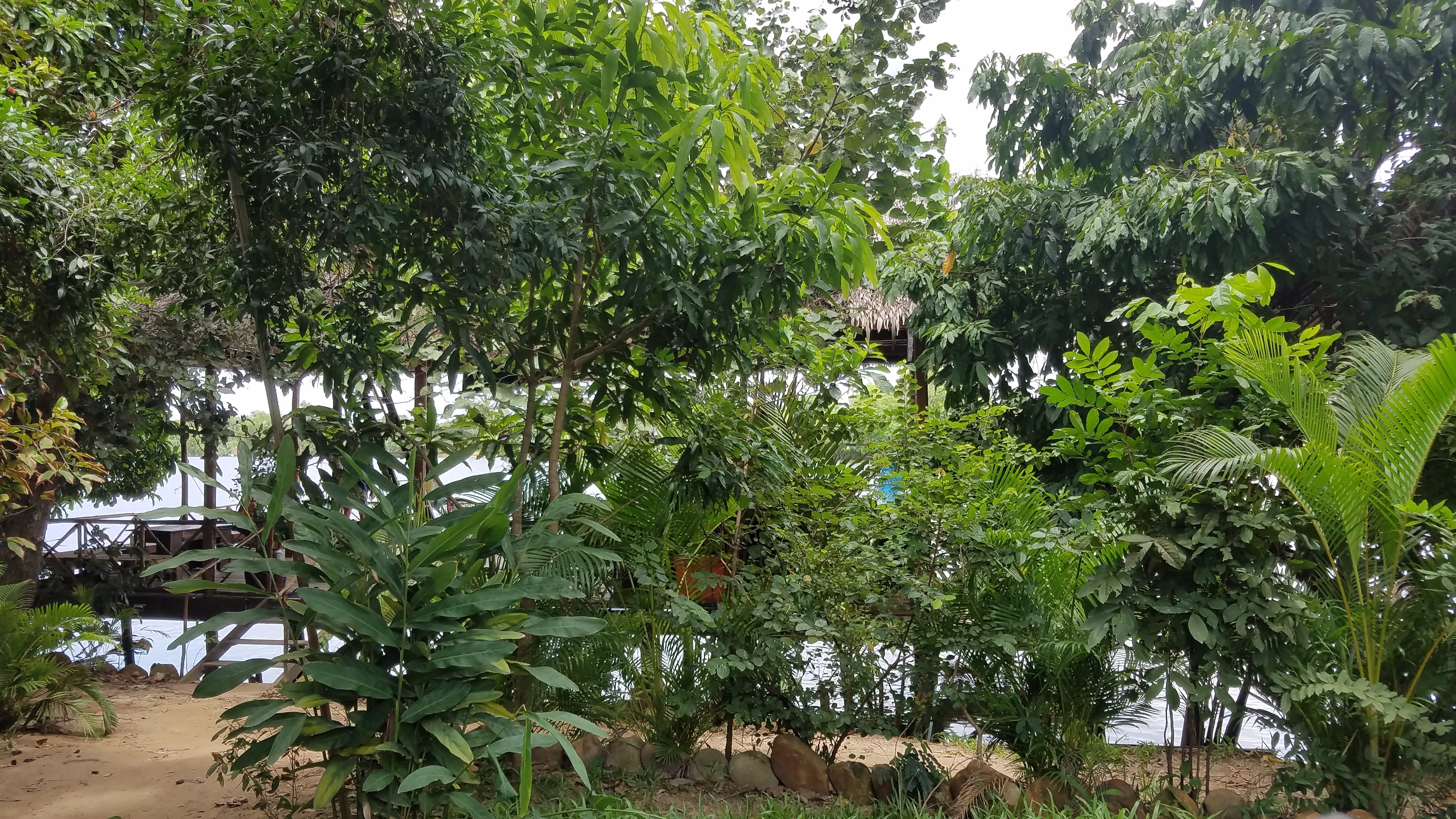 Maya Bungalows-官方