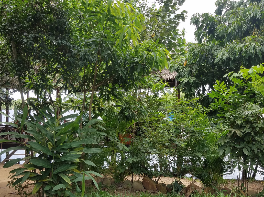 Stueng Kaev旅游攻略图片
