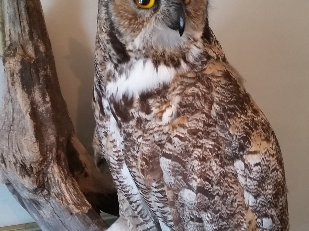 Wainwright District Museum-Wainwright必去景点