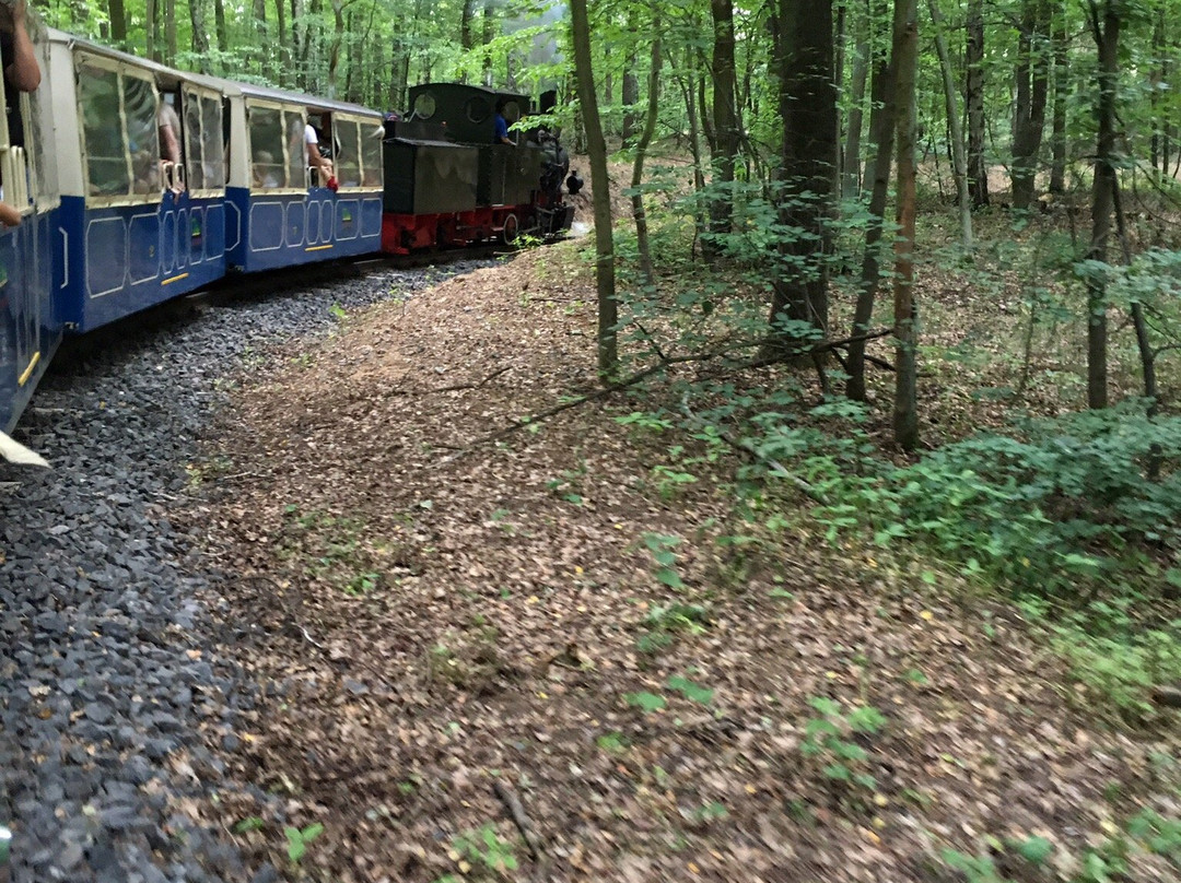 Maltanka Minature Railway-波兹南必去景点