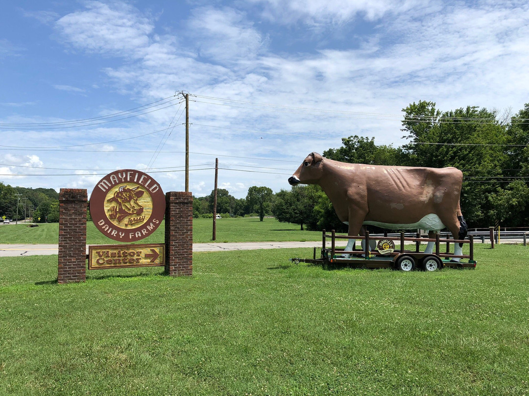 Mayfield Dairy Farm景点图片