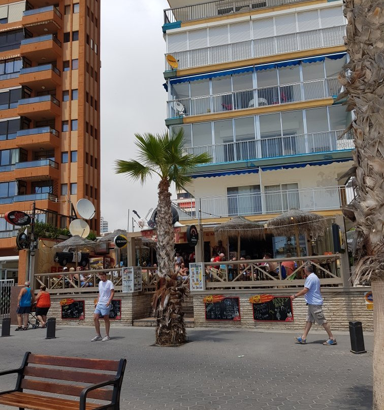 Sol Beach Bar - Benidorm-贝尼多姆必去景点