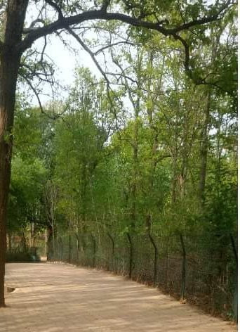Deer Park景点图片