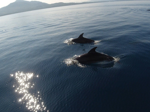 美娜多之旅酒店主图