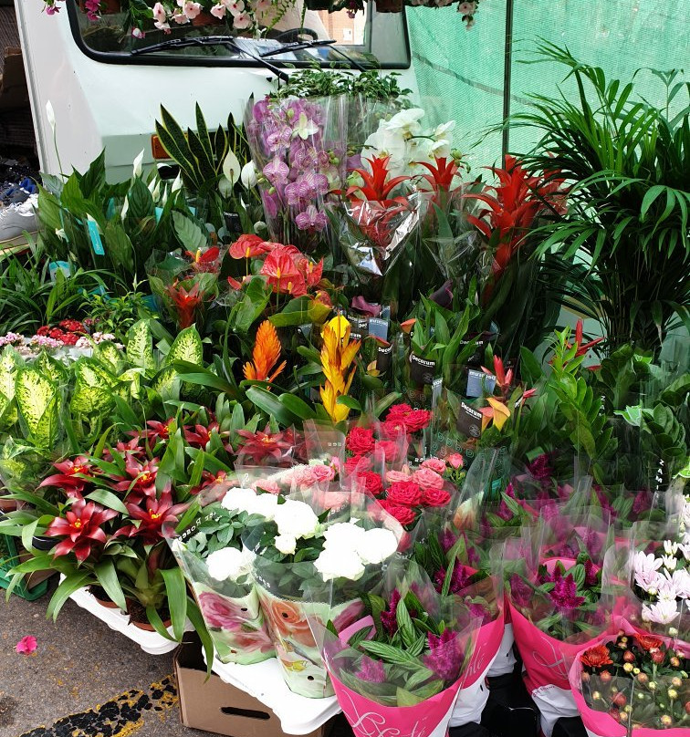 La Union Street Market景点图片